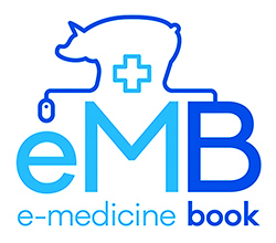 eMB final logo