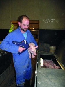 Farrowing house assistant manager Craig Brown