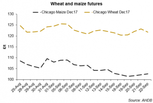 wheat and maize futures