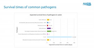 The importance of water quality, water medication and the practi