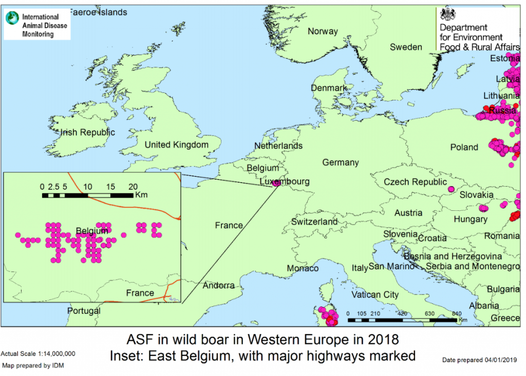 APHA Belgium ASF map
