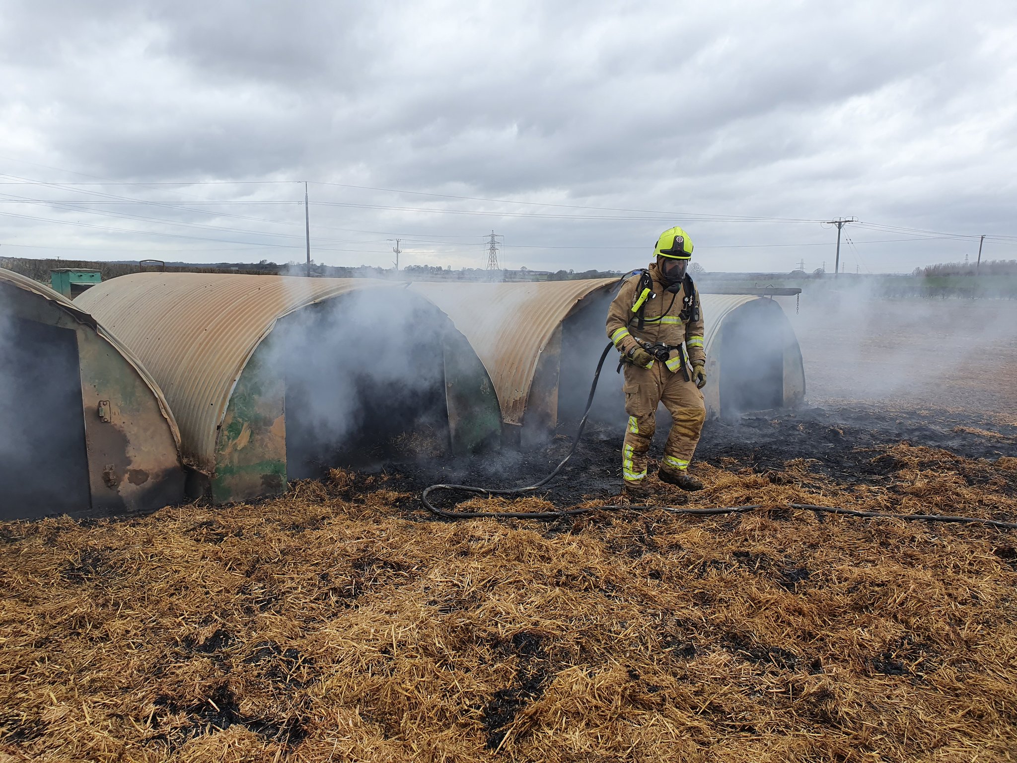 Pig Explodes Pedometer eaten by pig sparks fire - and mass media coverage! - Pig World