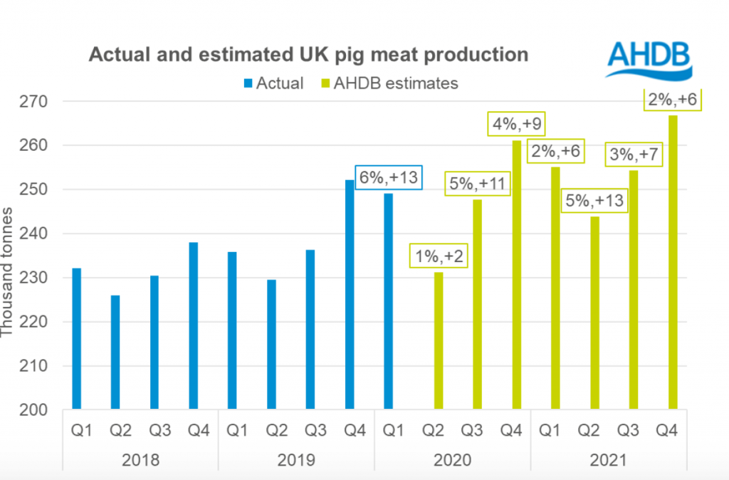 Actual and forecast pigmeat production
