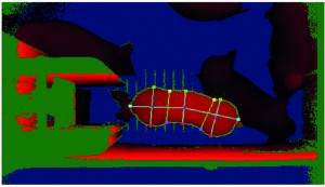Image of eYeScan (3D) showing the step in the process where the body characteristics are determined to calculate the pig features such as body width, length and area. From Vranken and Berckmans 2017.