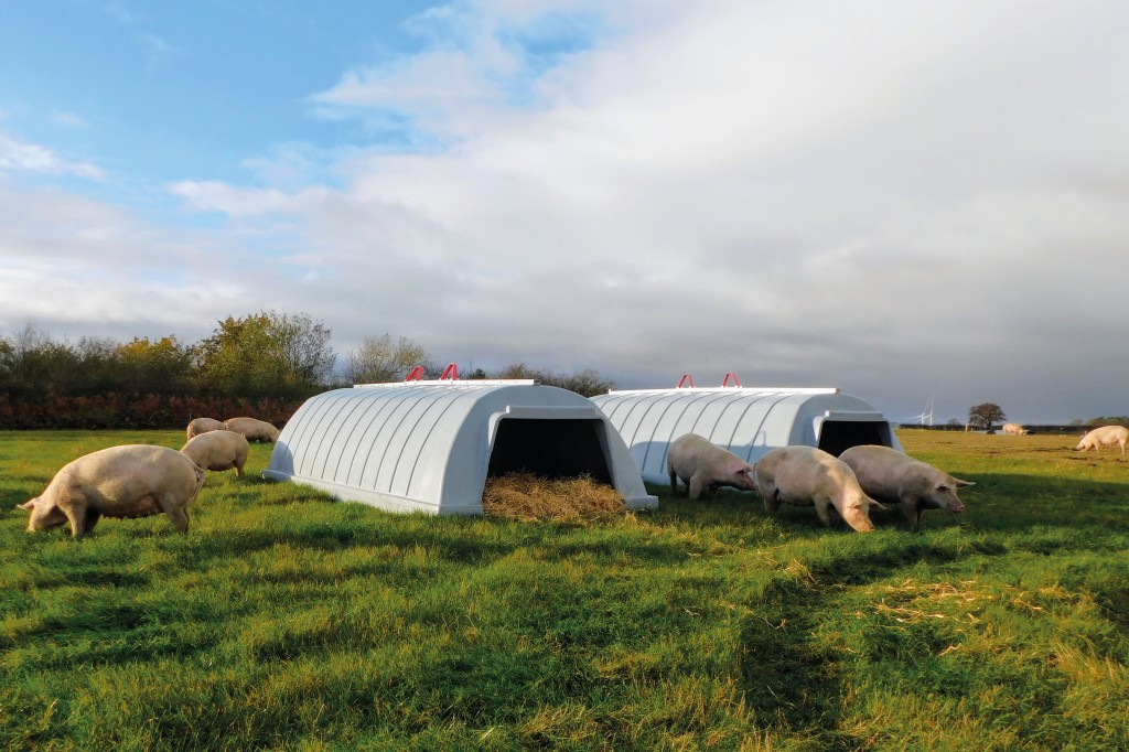 Fully insulated dry sow accommodation is as successful as the fully insulated farrowing huts used at LSB