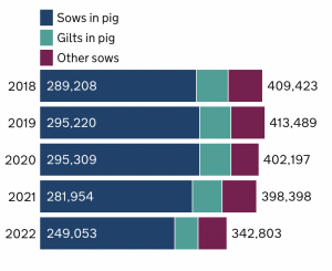 June UK pig census