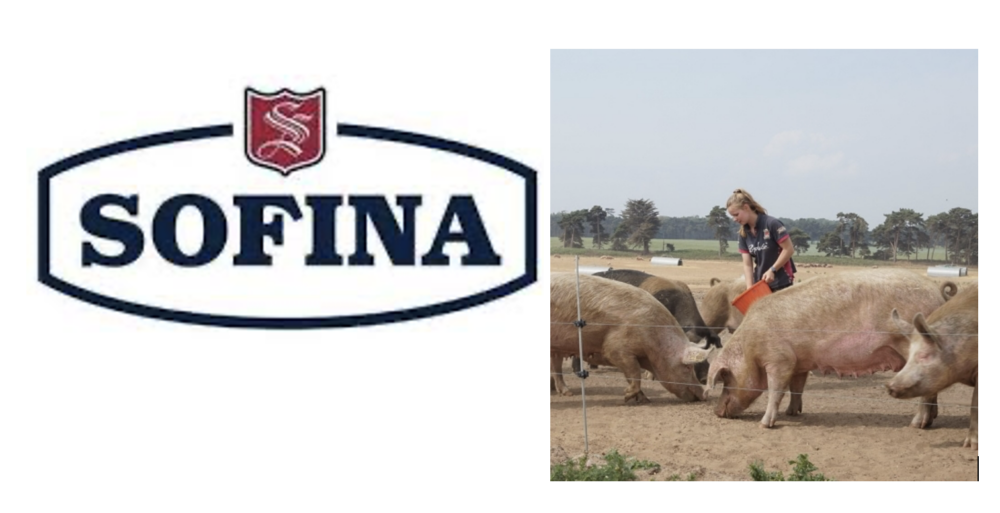 Sofina Meals Europe acquires farms and farm animals from Rattlerow Scotland