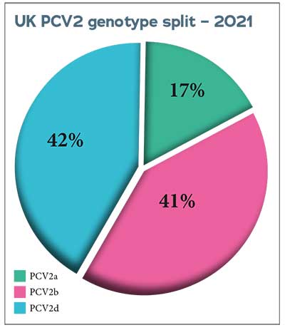 Genotype split graph