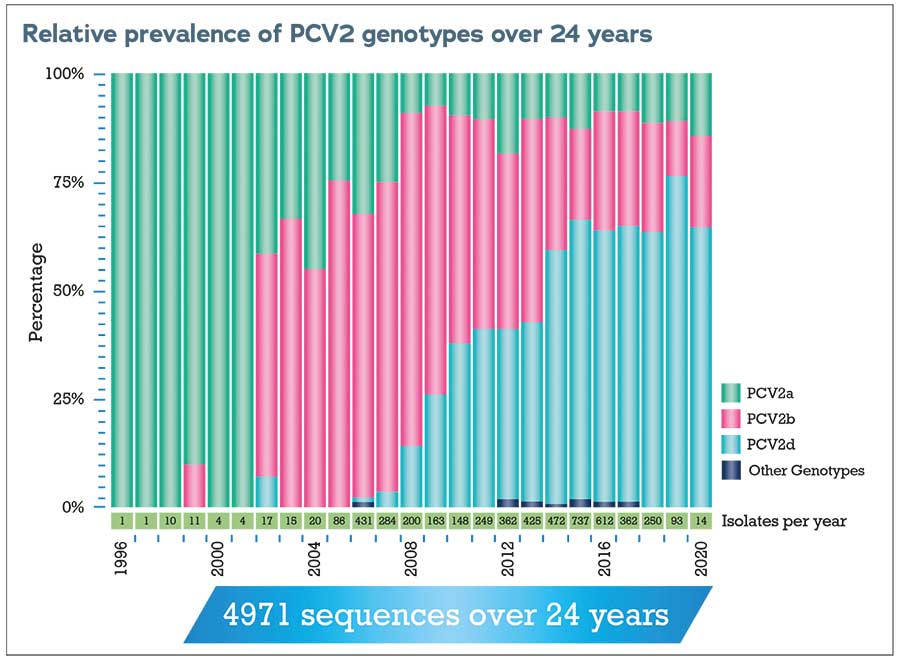 PCV genotype graph