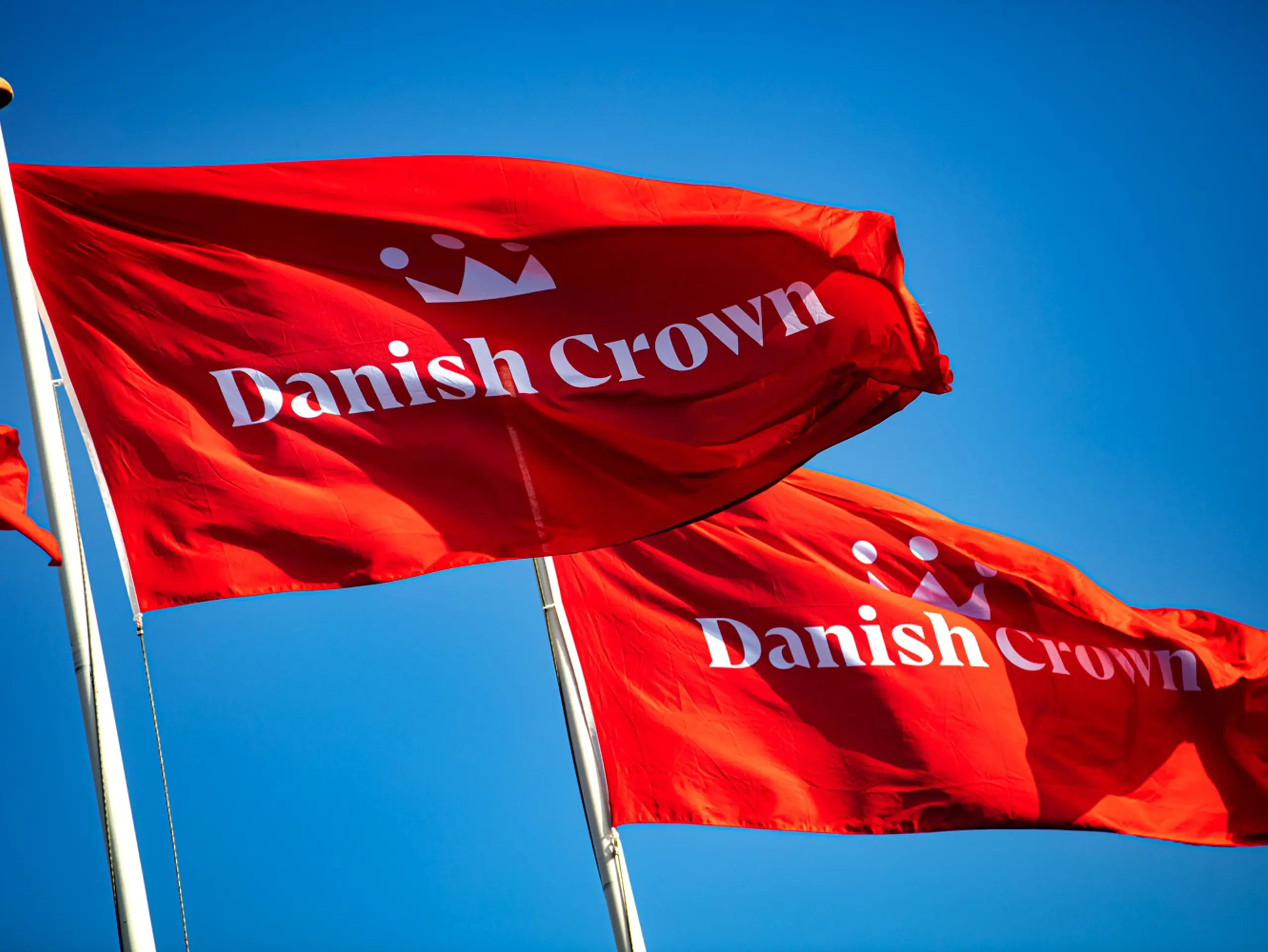 Danish Crown restructure to result in 800 job losses - Pig World