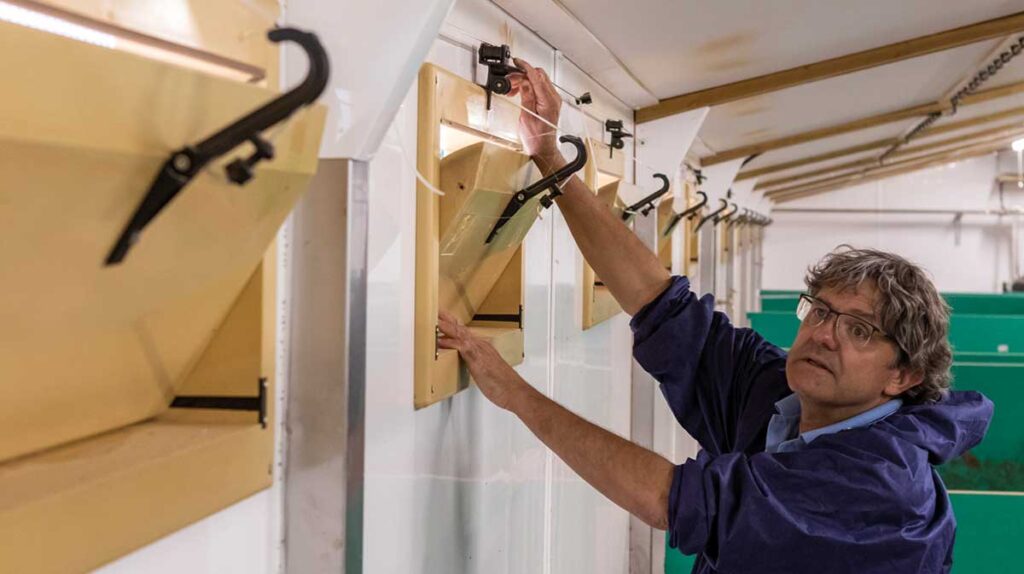 Man working on electrics