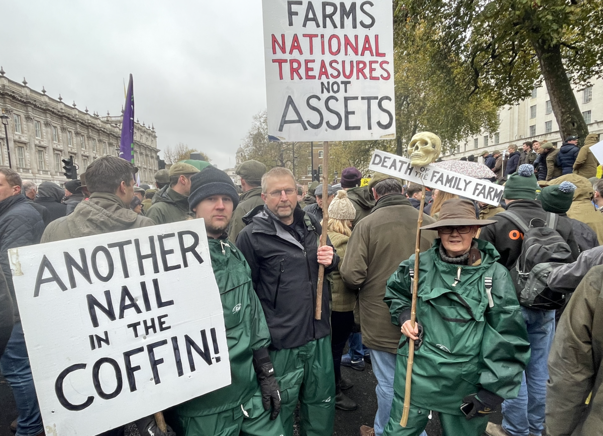 10,000 farmers descend on Westminster in protest at the 'cruel family ...