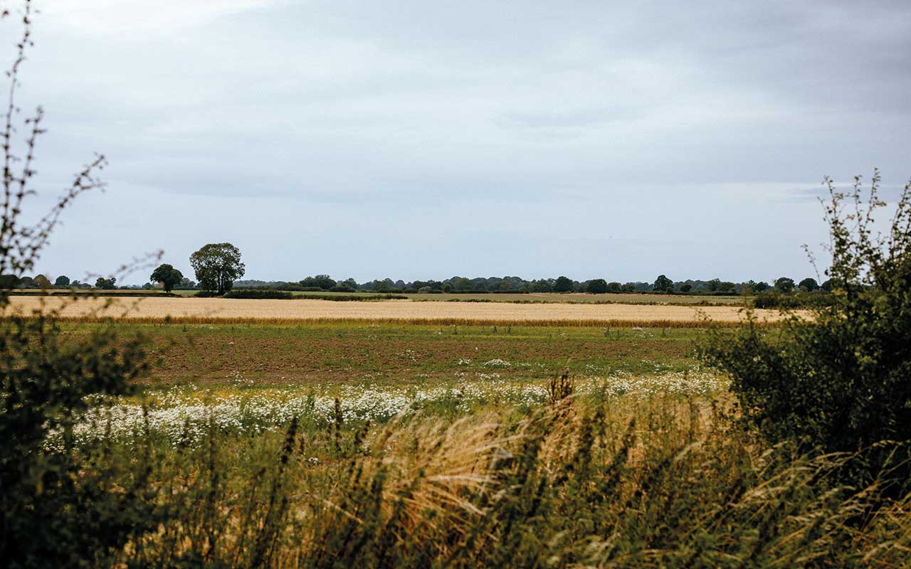 Shedden Farms landscape