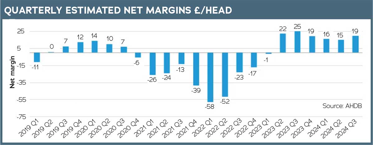 Net margins graph