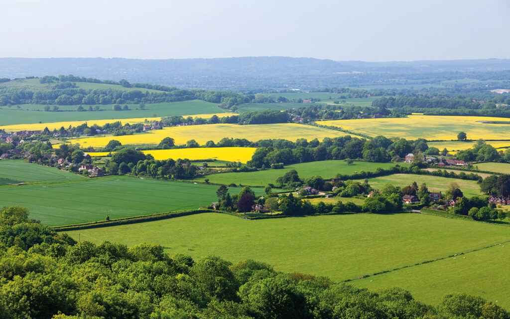 Rural landscape