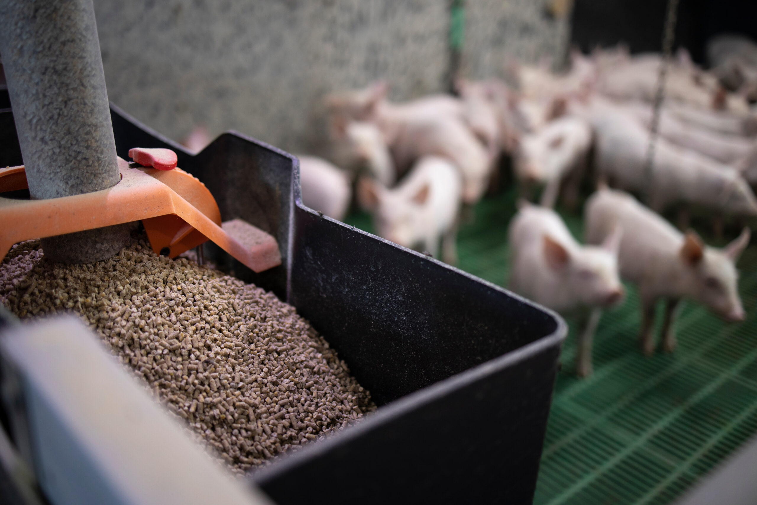 Harbro acquires Cargill Animal Nutrition & Health business - Pig World