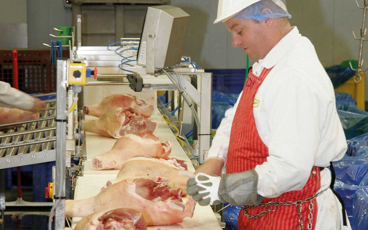Butchers cutting line in a slaughterhouse