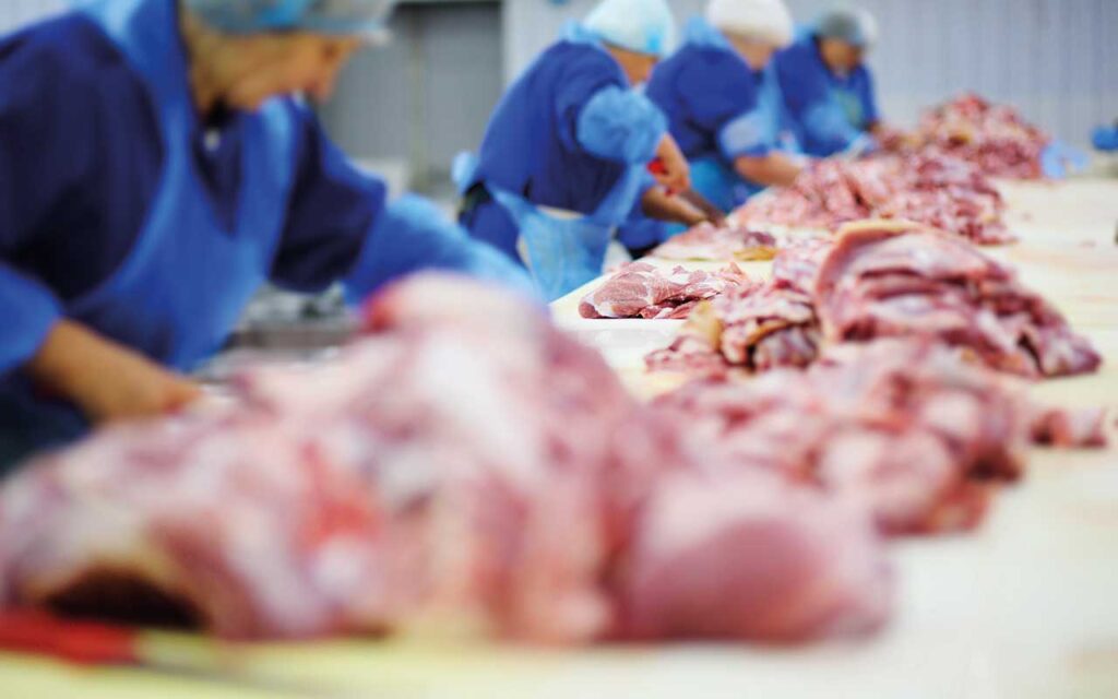 Cutting and processing of meat at a meat-packing plant