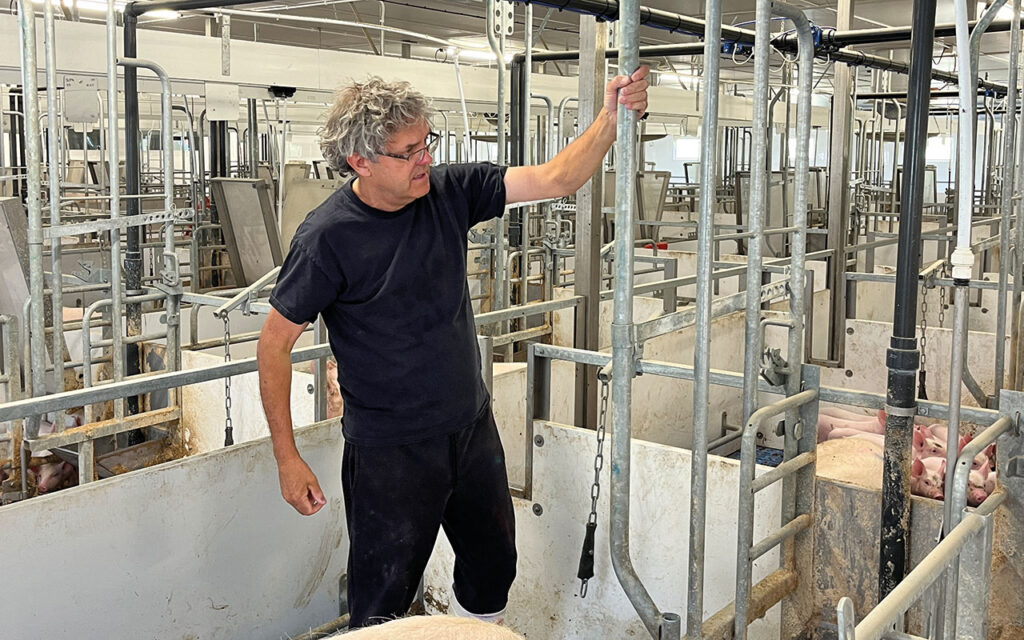 A pen’s layout, giving maximum available space, is key to sow and piglet welfare, rather than simply total area, according to Tim Miller