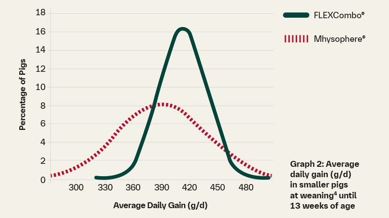 Graph 2: Average daily gain (g/d) in smaller pigs at weaning4 until 13 weeks of age 