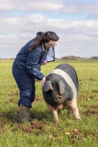 A person in a blue coverall and brown boots stands in a grassy field, holding a clipboard and gently touching a large black and white pig. The background features a partly cloudy sky and distant trees."