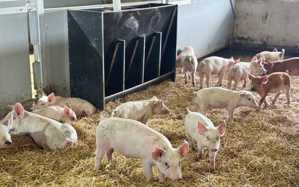 A double-gate system reduces the need for a four-tine fork