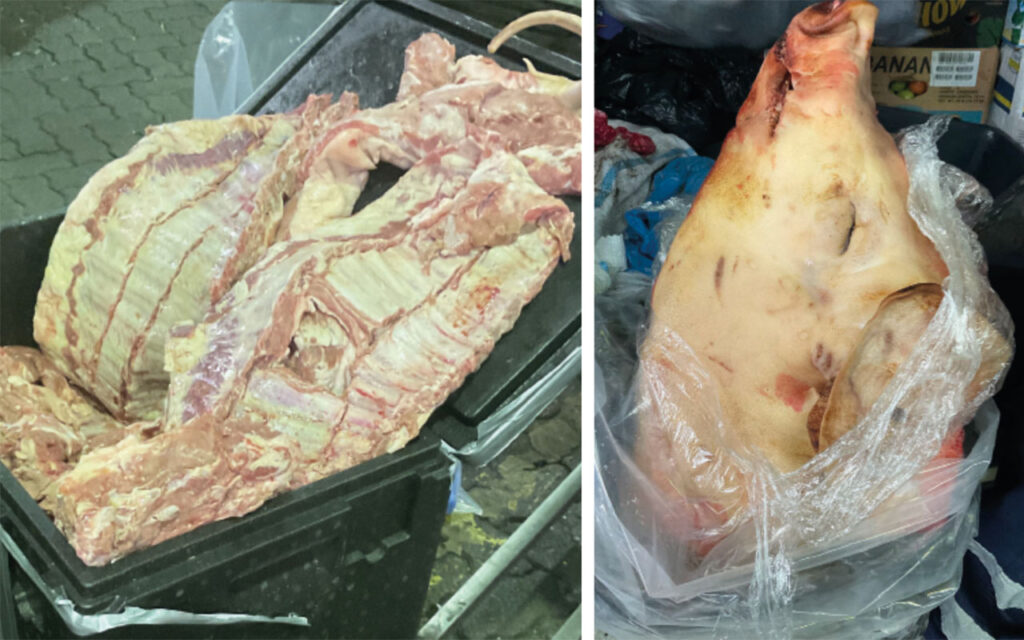 Illegal pigmeat