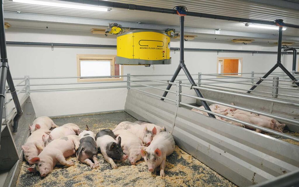 Overhead bedding robots run on a rail system distributing straw and sawdust