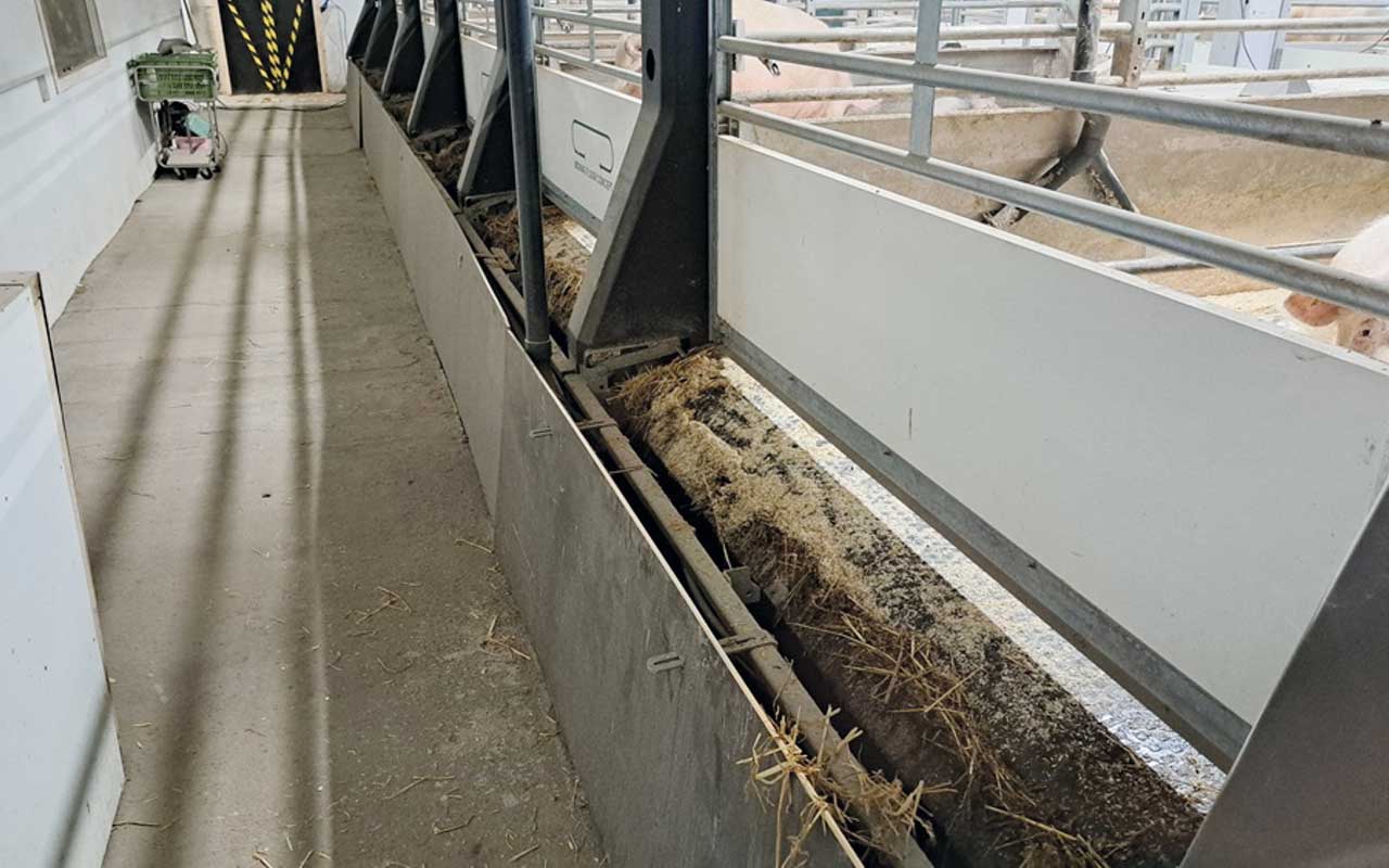 As the floor rotates, it scrapes away the faeces and urine, keeping the pens clean