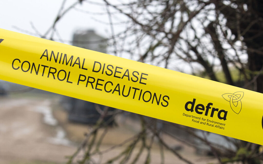 Defra officials dealing with an outbreak of H5N8 Bird Flu
