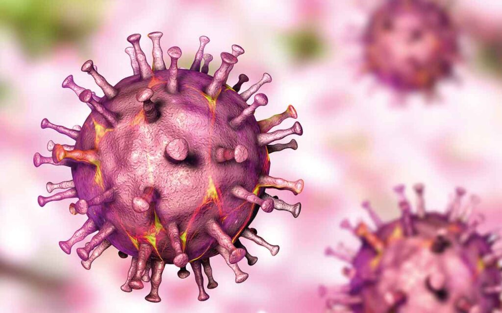 ASF in Focus: Could vaccines help solve global ASF problem? African swine fever virus, 3D illustration.