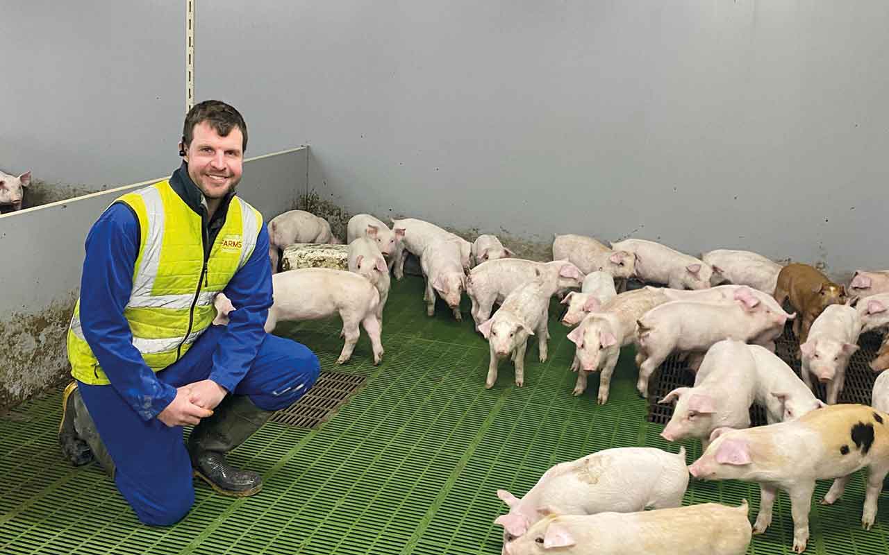 Fred Allan with pigs on farm
