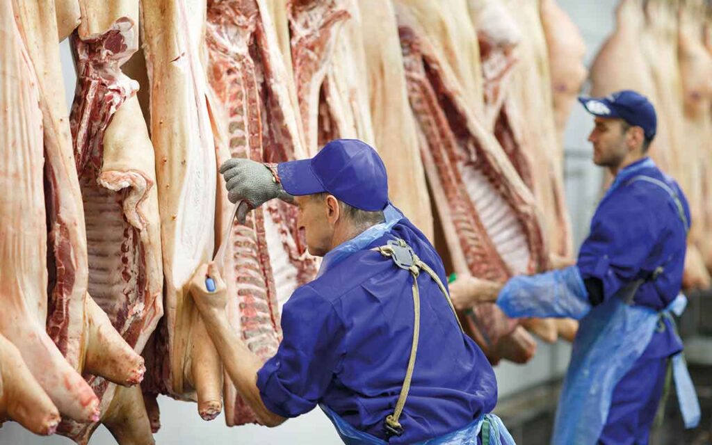 ‘Situation tight but no immediate concerns over CO2 supplies’ – BMPA Butcher cutting pork at the meat manufacturing