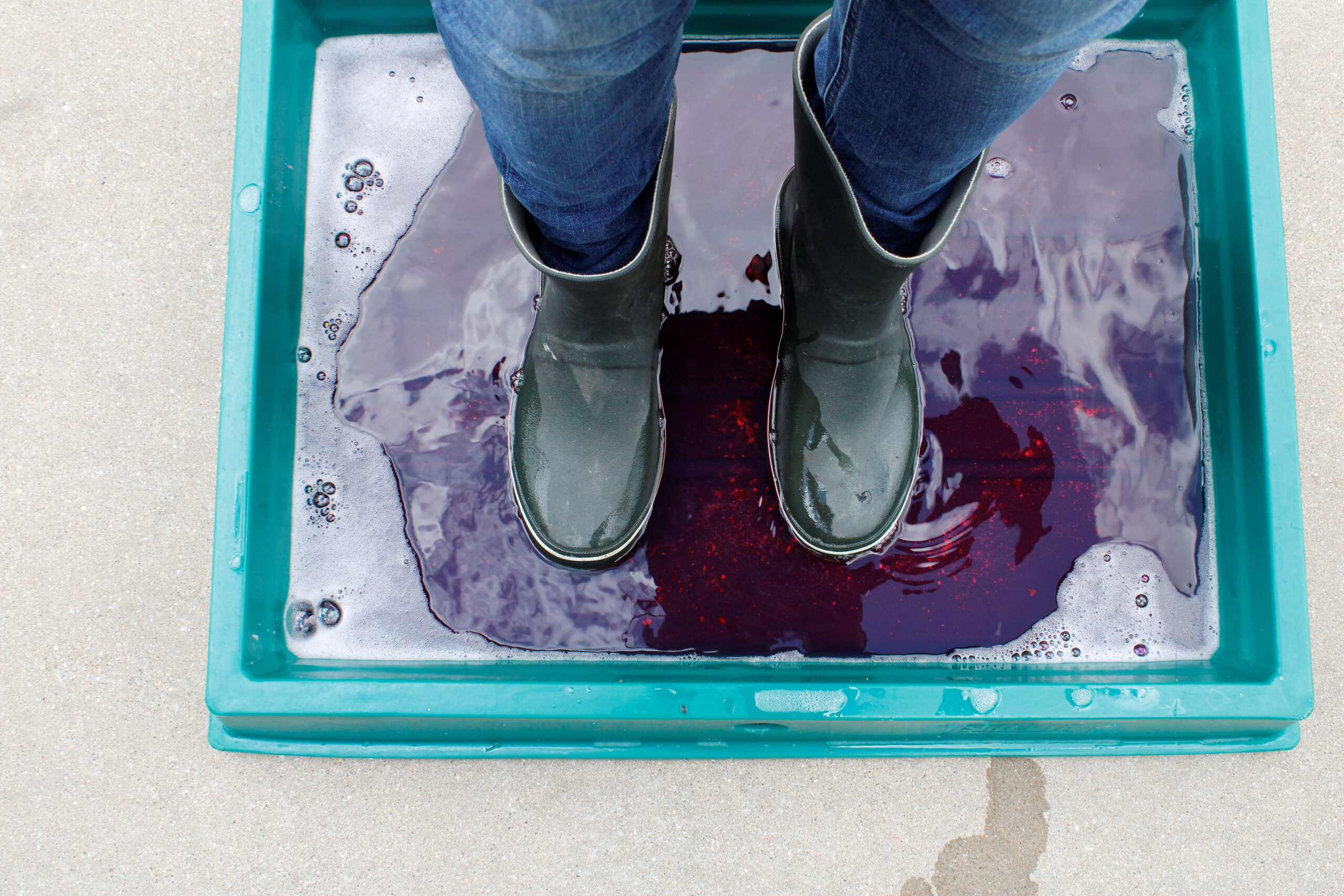 UK Pig Farms: Biosecurity Survey on African Swine Fever (ASF) Risk