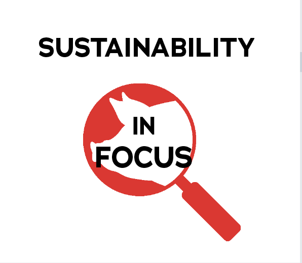 sustainability in focus