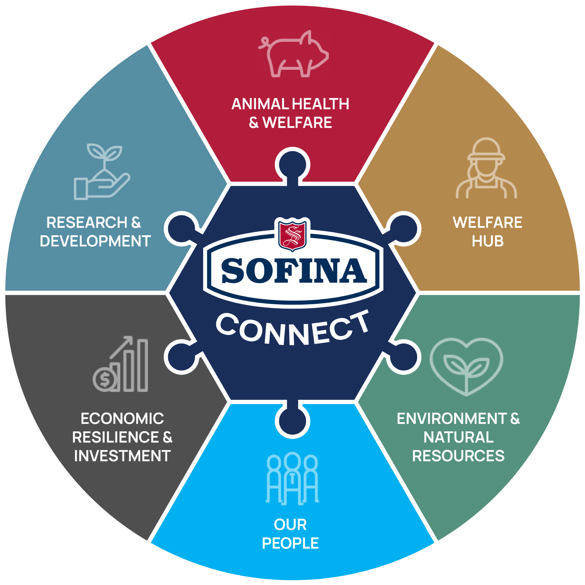 Sofina Foods Unveils Collaborative Programme With UK And Irish Pig sofina-foods-unveils-collaborative-programme-with-uk-and-irish-pig