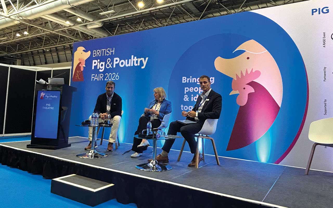 Lessons from Spain on UK preparedness for ASF - Pig World
