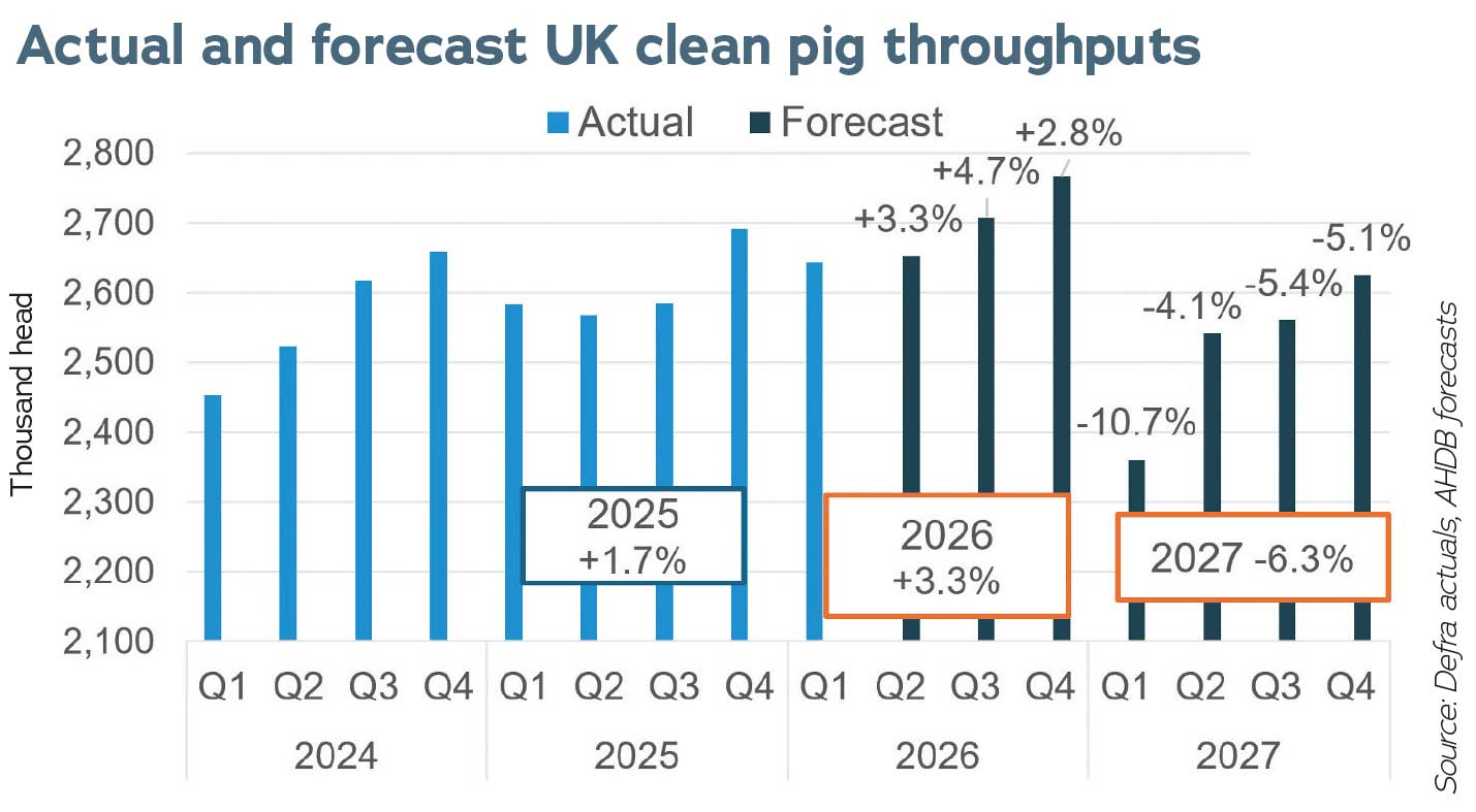 Clea pig throughputs graph