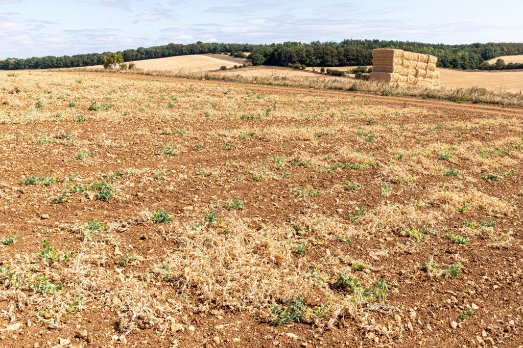 Farming bodies call for action, with farming ‘at crisis point’