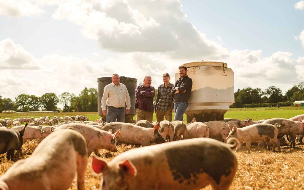 Outstanding pig business underpinned by family values From left: Michael, Ian, Matthew and Todd Baker form the NFL management team