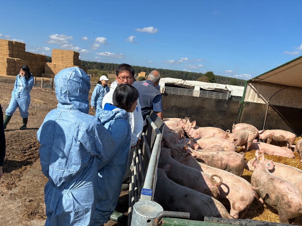 UK pork sector’s high standards showcased to Chinese and US importers