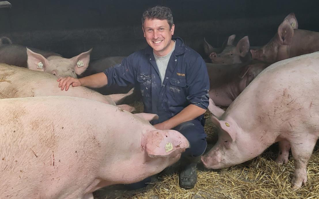 High-profile Scottish farmer closes breeding herd - Pig World