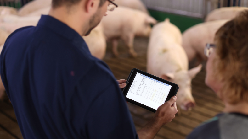 Want more from your sows? It’s time to add claw lesion checks into your herd protocol