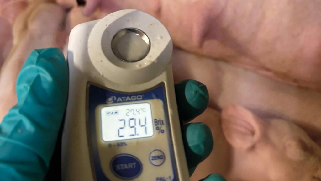 Brix refractometer