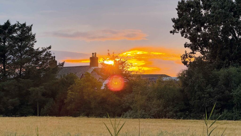 Comment: Is once-proud Scots pig sector heading for a terminal decline? Setting sun